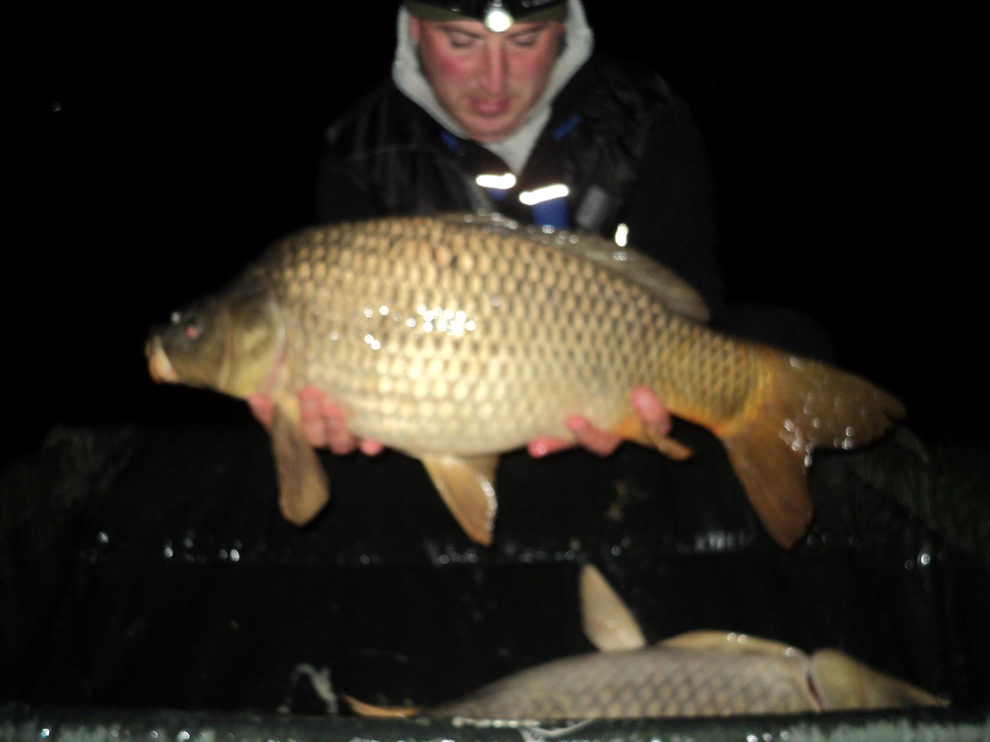 pescuit MOARA VLASIEI - dsc02701.JPG